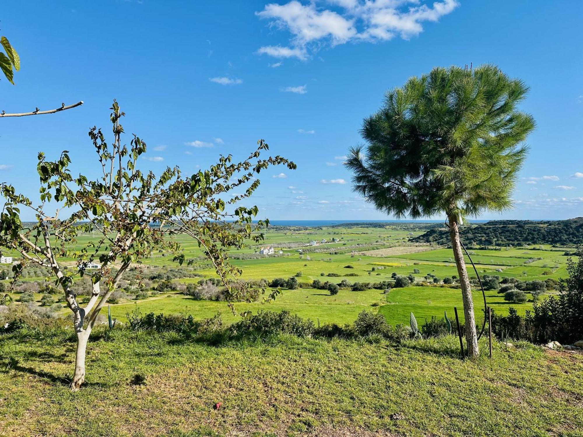 Celebi Garden Hotel - Cittaslow Retreat Famagusta  Exteriér fotografie